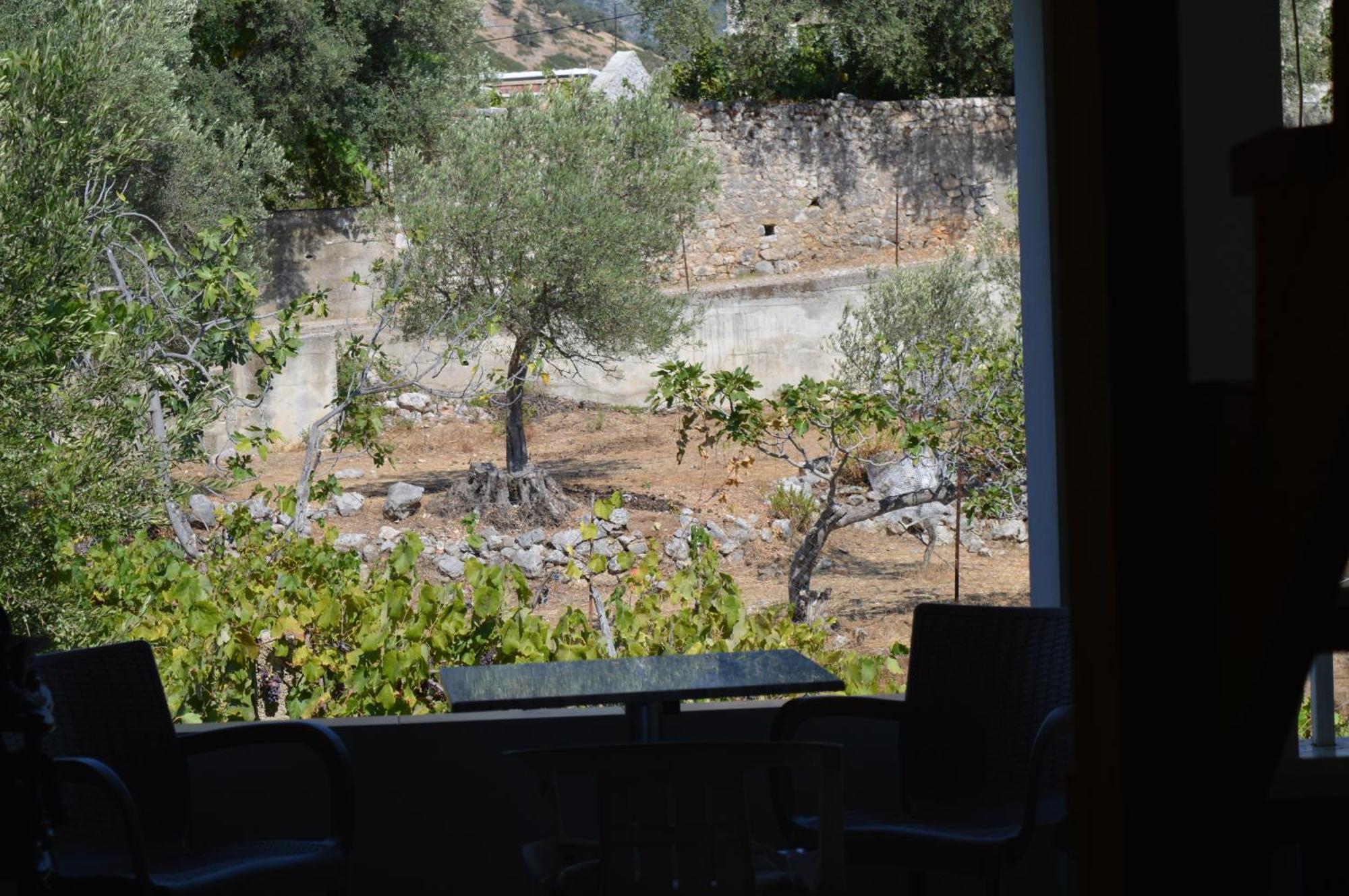Tolis Rooms Himara Kültér fotó
