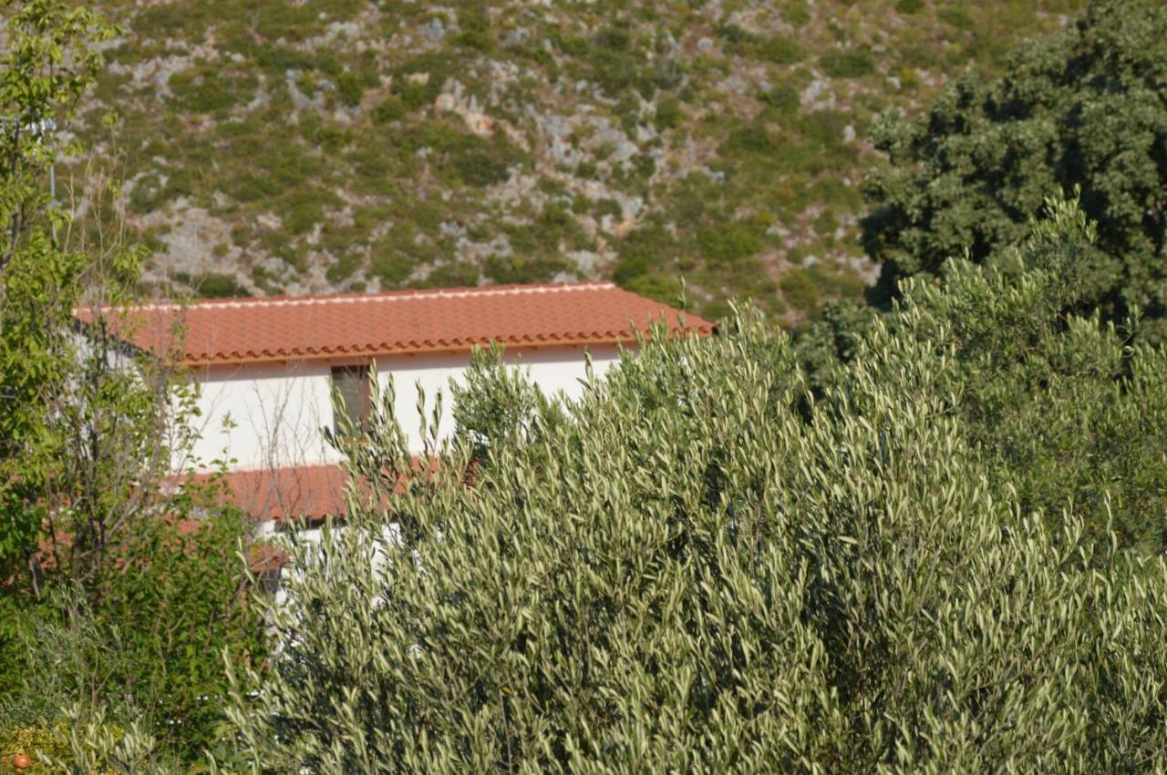 Tolis Rooms Himara Kültér fotó