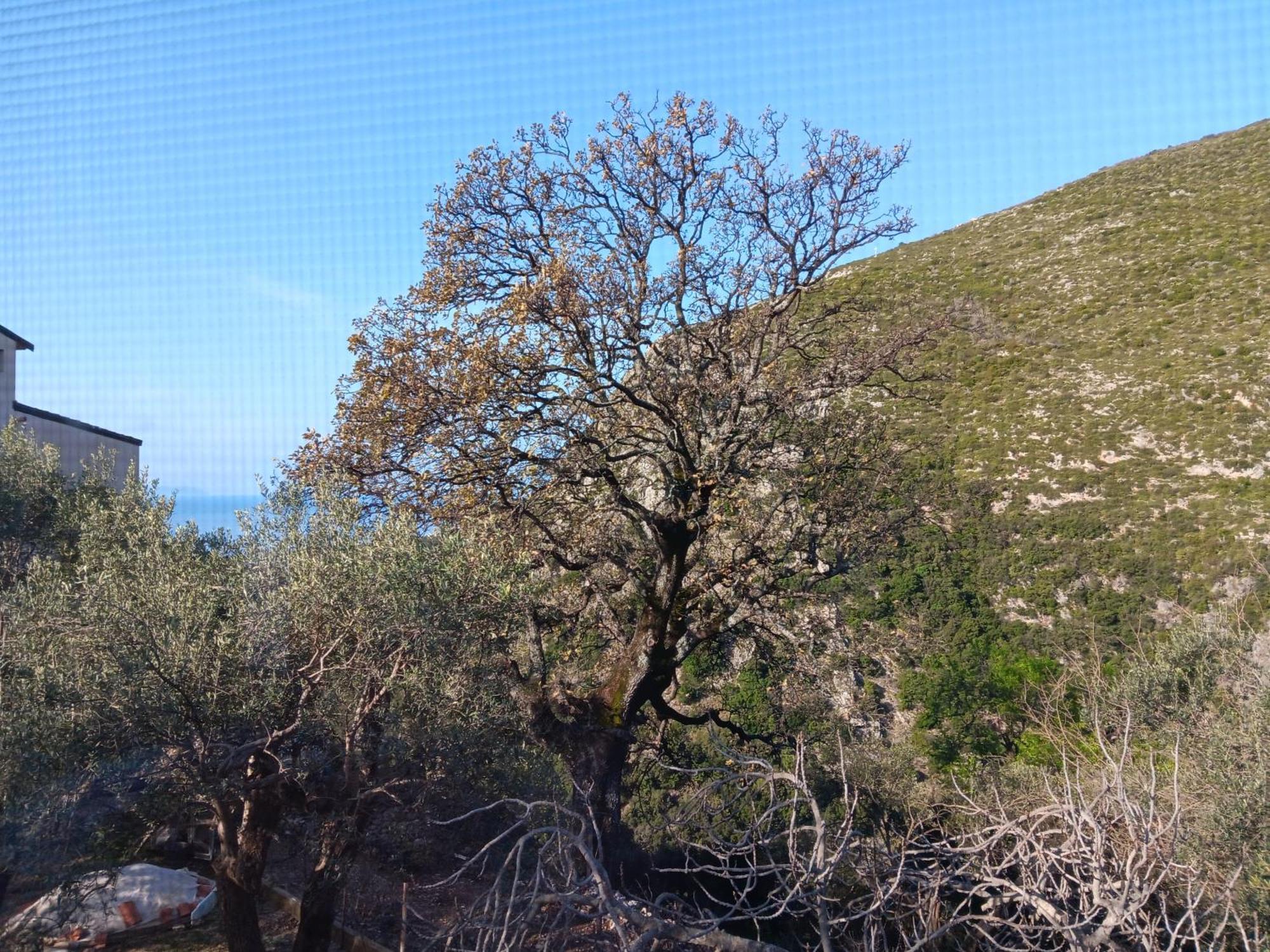 Tolis Rooms Himara Kültér fotó